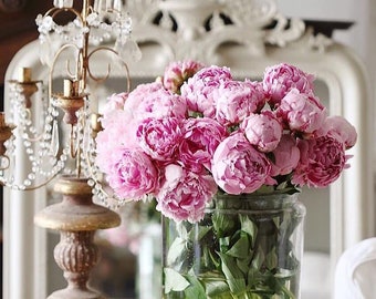 Advice on your relationship- Life Coaching