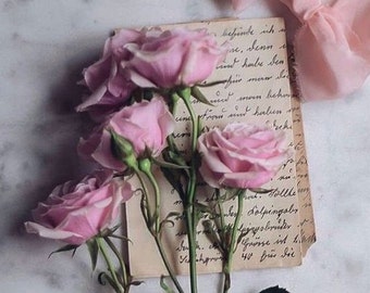 May include: A bouquet of pink roses with green leaves on a white marble surface. The roses are arranged on top of a vintage letter with handwritten text.