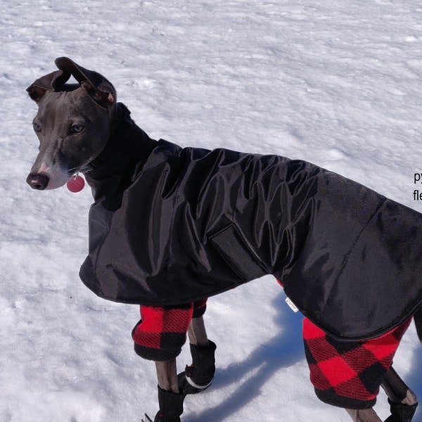 Black, Grey, White, Marine blue, Red or Fuschia Italian greyhound or Whippet raincoat lined with insulation foam and matching fleece