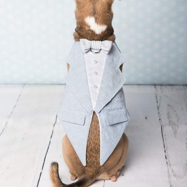 Light blue (or orther color) and white tuxedo for dog for wedding, anniversary, etc, linen and cotton blend & pure linen, ultra chic + comfy