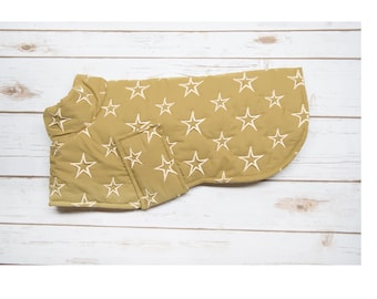 Golden stars Coat jacket for dachshund or other dog with short legs