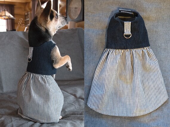 xxs dog harness dress