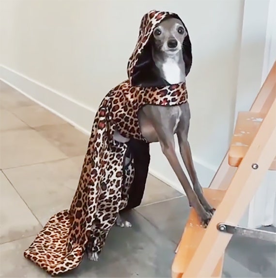xxxl dog dress