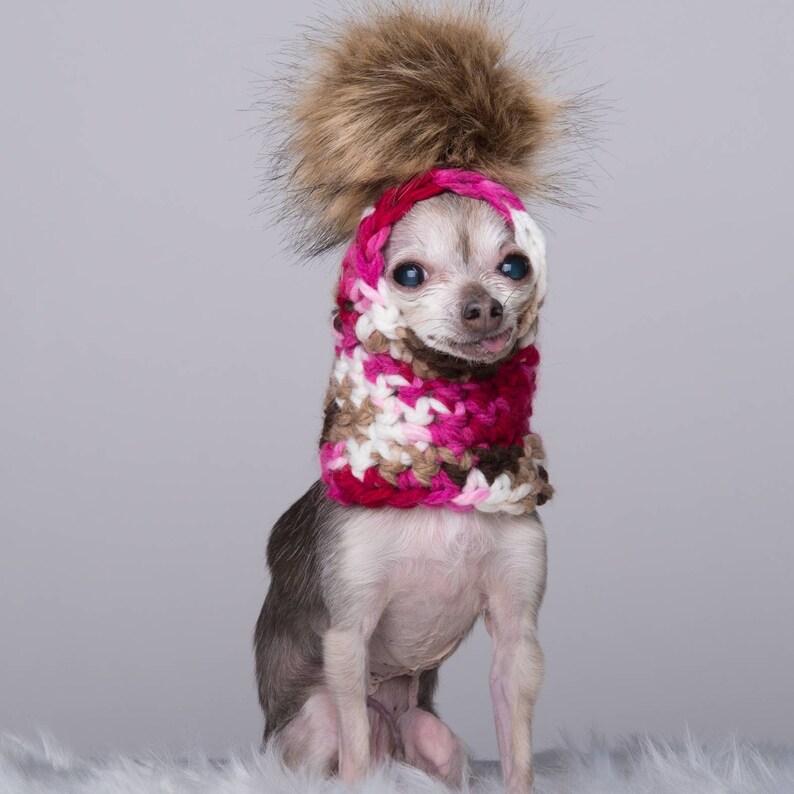 funny pompom hat for dogs or cats, MANY COLORS AVAILABLE, faux-fur pompon that can be removed easily image 1