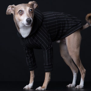 Hoodie or Tshirt for italian greyhound and other dog with large torso, Black with grey stripes, hoodie or short, medium or long neckline