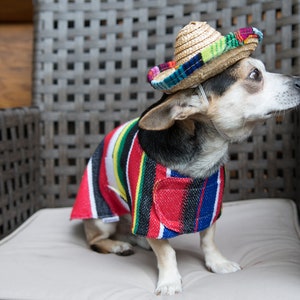 Costume mexicain cinco de Mayo pour chien