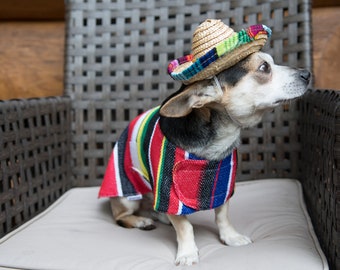 fiesta dog costume