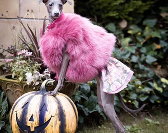 Faux fur vest for italian greyhound, whippets and other breeds.