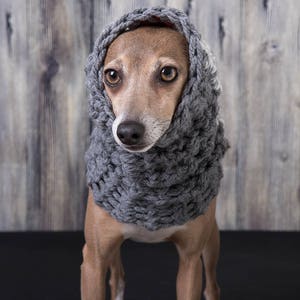 Long snood hat for dog italian greyhound