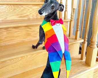 Targhetta per cani Toxedo PRIDE arcobaleno LGBTQ2+ per compleanno, matrimonio, festa o altra occasione