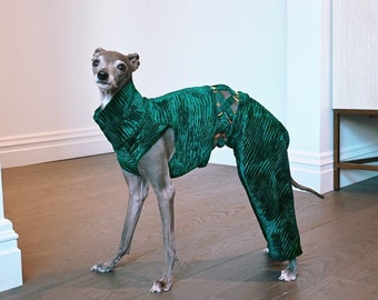 Luxury Forest Green Set IGGY, WHIPPET & GREYHOUND