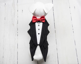 Toxedo Zuko nero bianco a strisce per cane per compleanno, matrimonio, festa o altra occasione