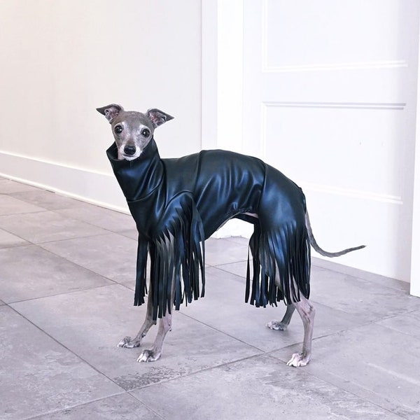 Une pièce à franges en faux cuir noir pour Lévrier italien (IGGY), lévrier whippet (WHIPPET) ou grand lévrier (Greyhound)