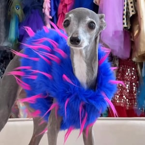Spike Faux fur vest for italian greyhound, whippets and other breeds