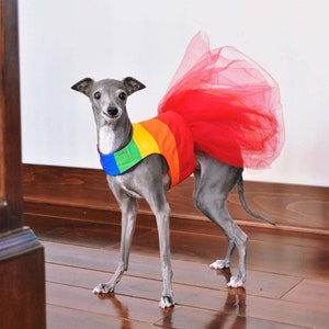 Pride Rainbow Hundekleid aus Gabardine (Polyester) beinhaltet entweder einen roten Tüllrock oder einen Regenbogen-Gabardinerock