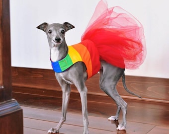pride outfits for dogs