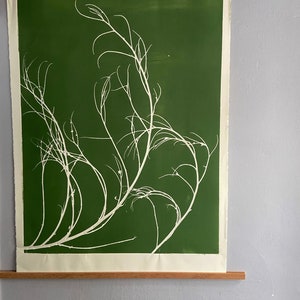 Tumbleweed Botanicals, giclee botanicals, Plant wall art, modern botanical art, green botanical print