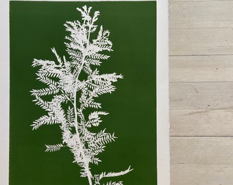 Locust Branch Botanical Print, giclee botanicals, Plant wall art, modern botanical art, green botanical print
