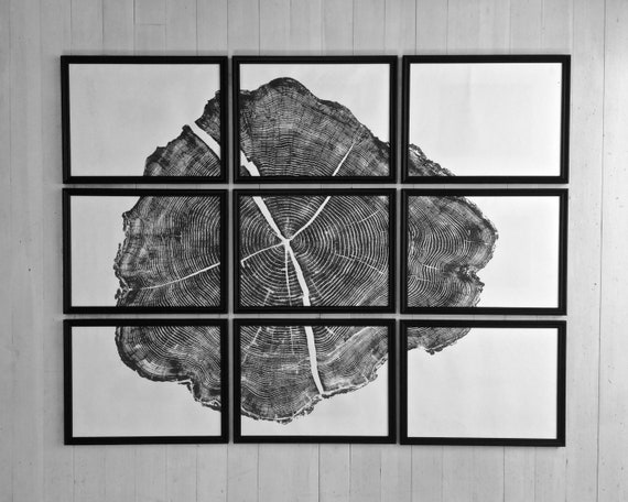 Oversized Art Set Of 9 Prints Tree Ring Prints Locust Tree Etsy