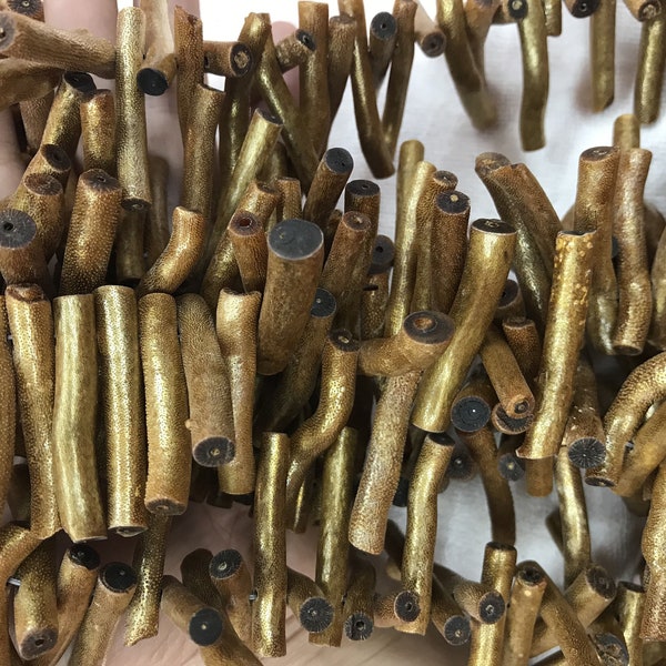 Untreated Rough Golden Coral 4-6mmx35-42mm Magic Stick Gemstone Branch Beads 15inch Jewelry Supply Bracelet Necklace Material Wholesale