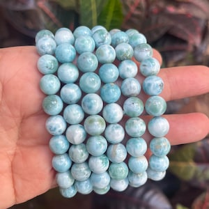 May include: A stack of round, light blue and white gemstone beads. The beads have a marbled appearance and are strung together to form a bracelet. The background is blurred, with green and red foliage.