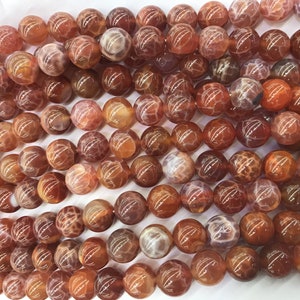 Peut inclure: Un assortiment de perles rondes en pierres précieuses orange-brun. Les perles ont une surface texturée et à motifs, avec des nuances d'orange, de brun et de blanc. Les perles sont enfilées, suggérant qu'elles sont destinées à la fabrication de bijoux ou à l'artisanat.