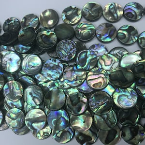 Könnte beinhalten: Eine Schnur runder, irisierender Abalone-Muschelperlen. Die Perlen sind dunkelgrün mit blauen und violetten Schimmern.