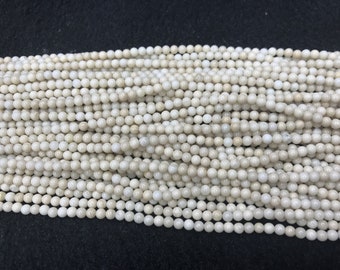 Natural White Fossil Jasper 2mm / 3mm Round Genuine Loose Beads 15 inch Jewelry Supply Bracelet Necklace Material Support Wholesale