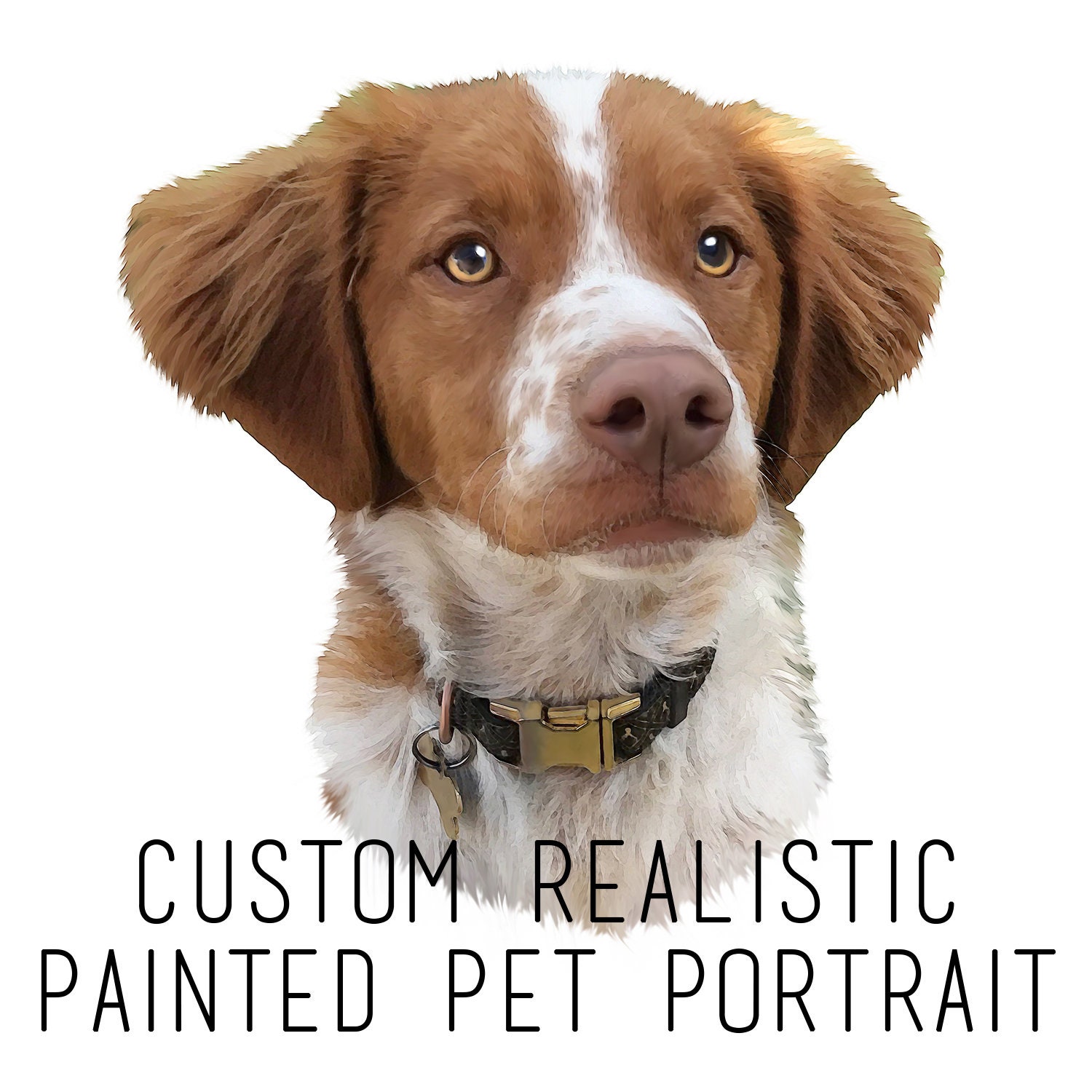Digital Pet Portrait Pet Illustration Pet Portrait Digital Etsy