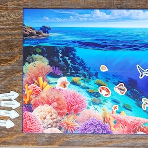 Marine Biome Board & Oceania (Australia) Map (Double Sided)