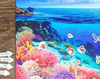 Marine Biome Board & Oceania (Australia) Map (Double Sided)