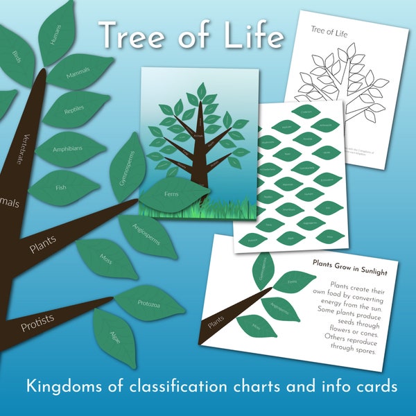 Tree of Life Kingdom Classification Control Chart, Activity and Info Cards -DIGITAL ONLY