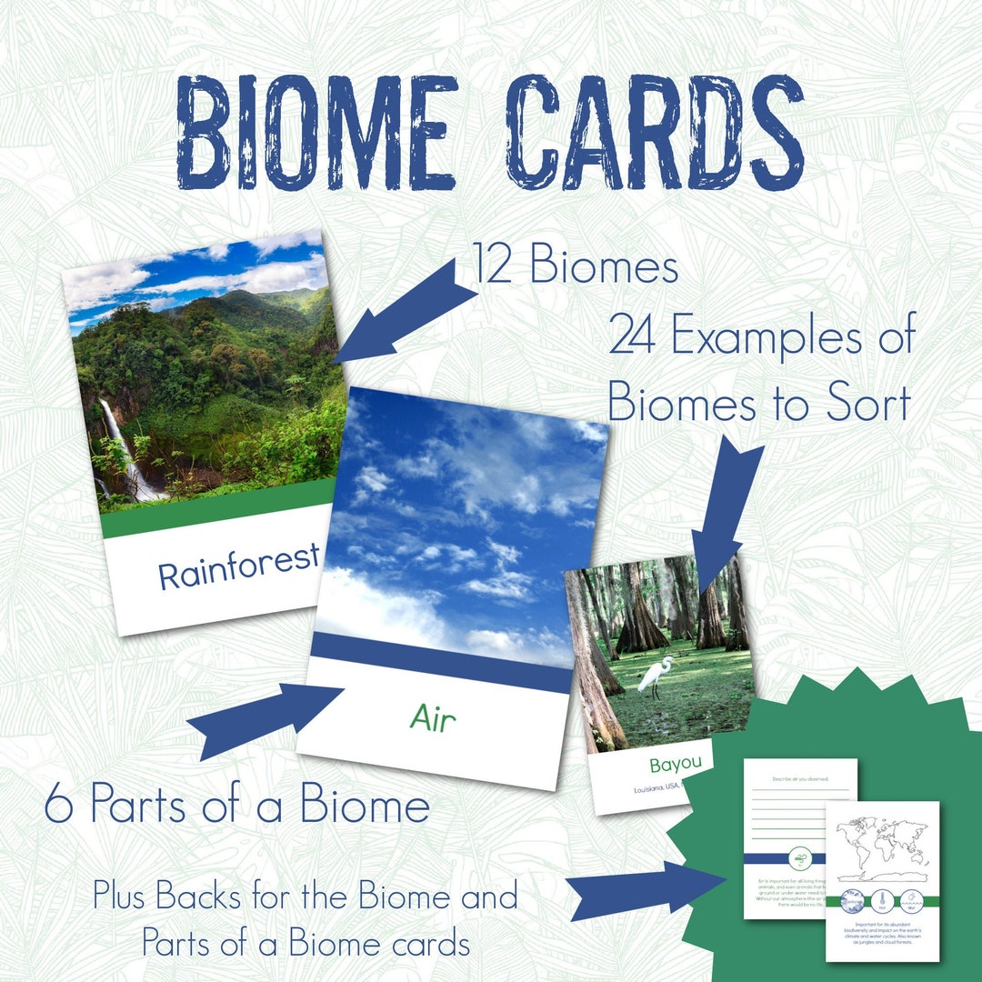 Biome Cards.pdf Printable Biome Cards (digital Download) - Etsy