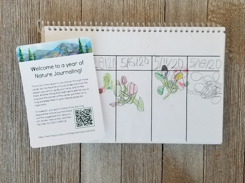 May include: A spiral-bound nature journal with a welcome card. The card features a mountain landscape and text: "Welcome to a year of Nature Journaling!" The journal pages have dates and drawings of plants.