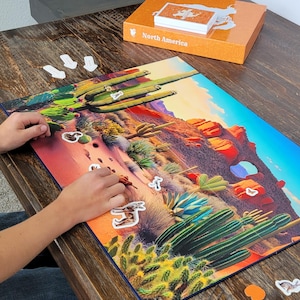 Sonoran Desert Biome Board & North America Map (Double Sided)