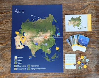 Asia Map & Biome Board (Double Sided)