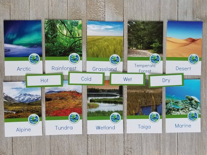 Biome cards and sorting labels | Etsy