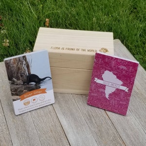 Plant & Animal Continent cards