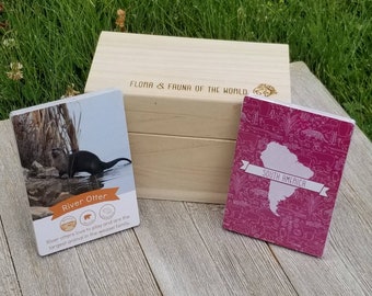 Plant & Animal Continent cards