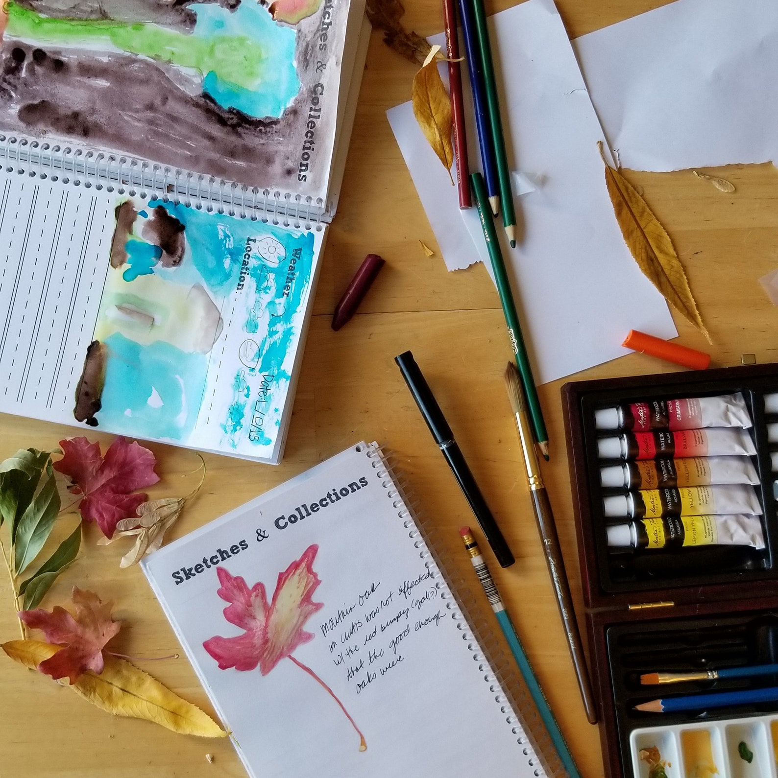 Basic Nature Journal Etsy