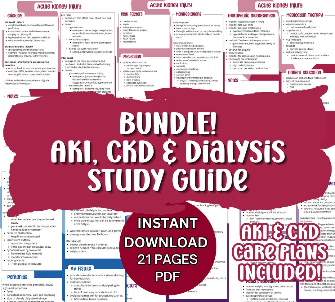 BUNDLE! Acute Kidney Injury and Chronic Kidney Injury Study Guide PDF ...