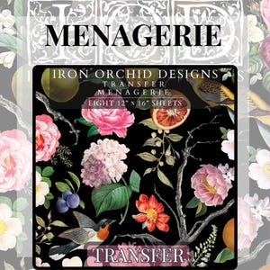 IOD Menagerie Decal Botanical Floral Tropical Jungle Bird Furniture Restoration Vintage style Cabinets Dressers Craft Project Handmade Gifts