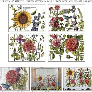 IOD Botanist's Journal Rub-On Decal Transfer for Furniture Decor IOD Transfer for DIY Furniture Makeovers & Unique Home Decor Project immagine 2