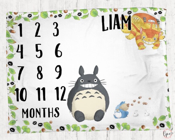 totoro baby blanket