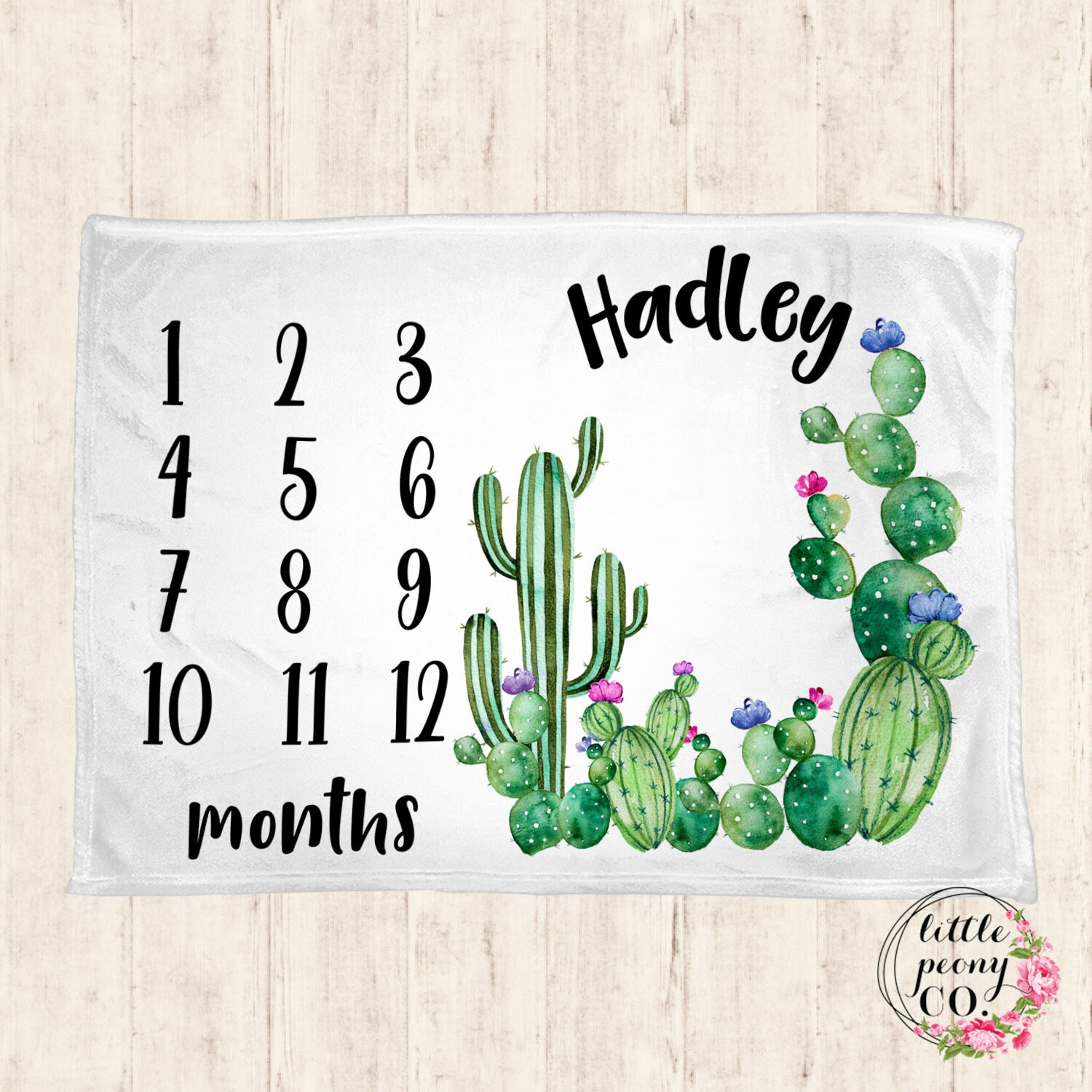 Baby Milestone Blanket Cactus Baby Milestone Blanket Monthly Blanket Cactus Baby Blanket Personalized Baby Blanket Baby Gift Etsy Canada