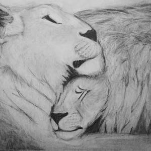 Lion Love