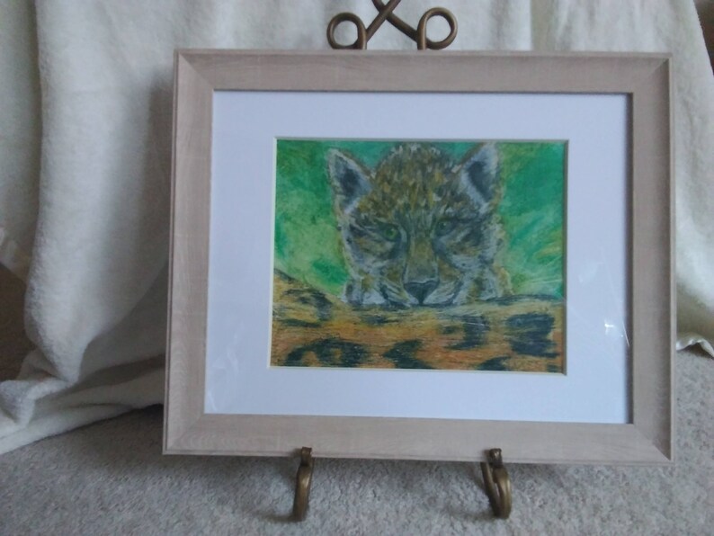 Guepard Bebe Animal Sauvage Dessin Couleur Zoo Etsy