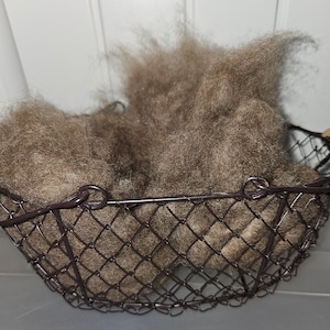 Pygora Type B Medium Gray Fiber
