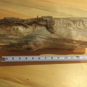Könnte beinhalten: Ein Stück verwittertes, graues Holz mit rauer Textur. Das Holz ist etwa 11 Zoll lang.