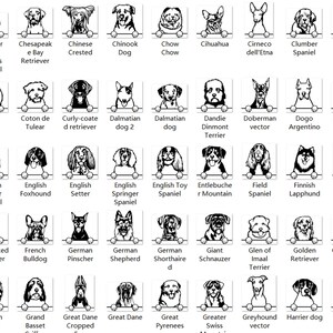 K&ouml;nnte beinhalten: Schwarzwei&szlig;-Illustrationen verschiedener Hunderassen, jede mit dem Kopf &uuml;ber einer Oberfl&auml;che. Die Rassen umfassen Cavalier King Charles Spaniel, Chesapeake Bay Retriever, Chinese Crested, Chinook Dog, Chow Chow, Chihuahua, Cirneco dell'Etna, Clumber Spaniel, Cocker Spaniel, Collie, Coton de Tulear, Curly-coated Retriever, Dalmatiner, Dandie Dinmont Terrier, Dobermann, Dogo Argentino, Dogues de Bordeaux, English Cocker Spaniel, English Foxhound, English Setter, English Springer Spaniel, English Toy Spaniel, Entlebucher Sennenhund, Field Spaniel, Finnischer Lapphund, Finnischer Spitz, Flat-coated Retriever, Franz&ouml;sische Bulldogge, Deutscher Pinscher, Deutscher Sch&auml;ferhund, Deutscher Kurzhaar, Riesenschnauzer, Glen of Imaal Terrier, Golden Retriever, Goldendoodle, Gordon Setter, Grand Basset Griffon Vend&eacute;en, Deutsche Dogge, Pyren&auml;enberghund, Grosser Schweizer Sennenhund, Windhund, Harrier, Havaneser und mehr.